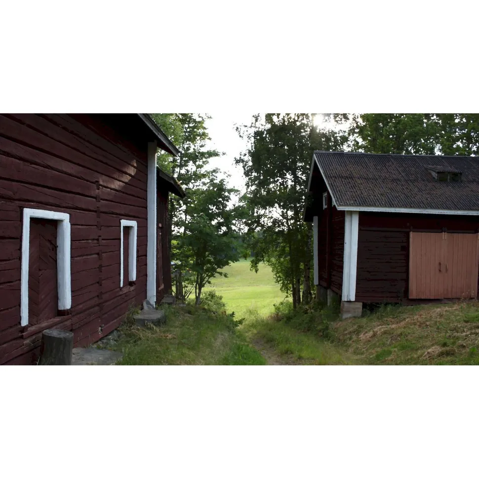 Akustiikkataulu Yeseco Quiet 120x60 cm kollaasi 2 kpl 60x60 cm eri kuvia (myös omalla kuvalla)