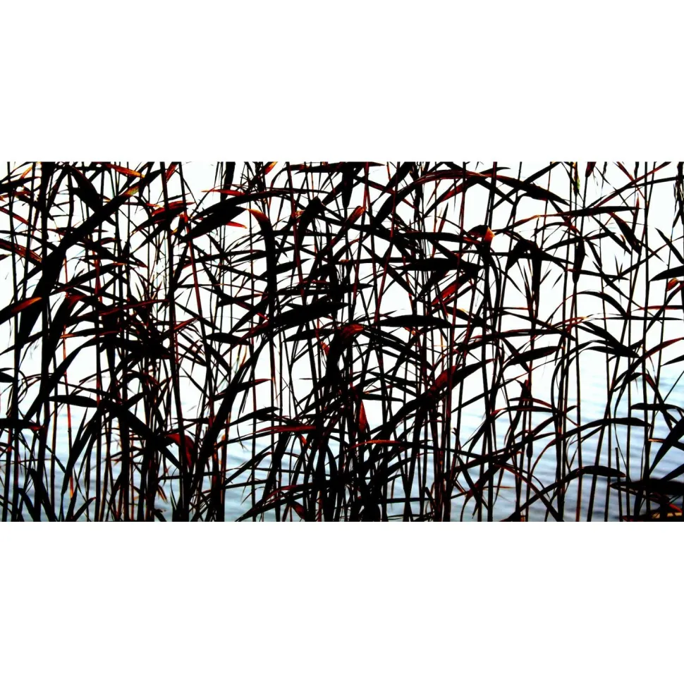 Akustiikkataulu Yeseco Quiet 120x60 cm kollaasi 2 kpl 60x60 cm eri kuvia (myös omalla kuvalla)