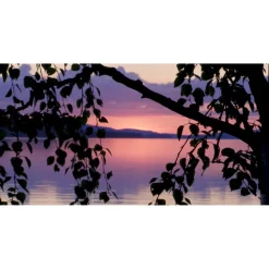 Akustiikkataulu Yeseco Quiet 120x60 cm kollaasi 2 kpl 60x60 cm eri kuvia (myös omalla kuvalla)