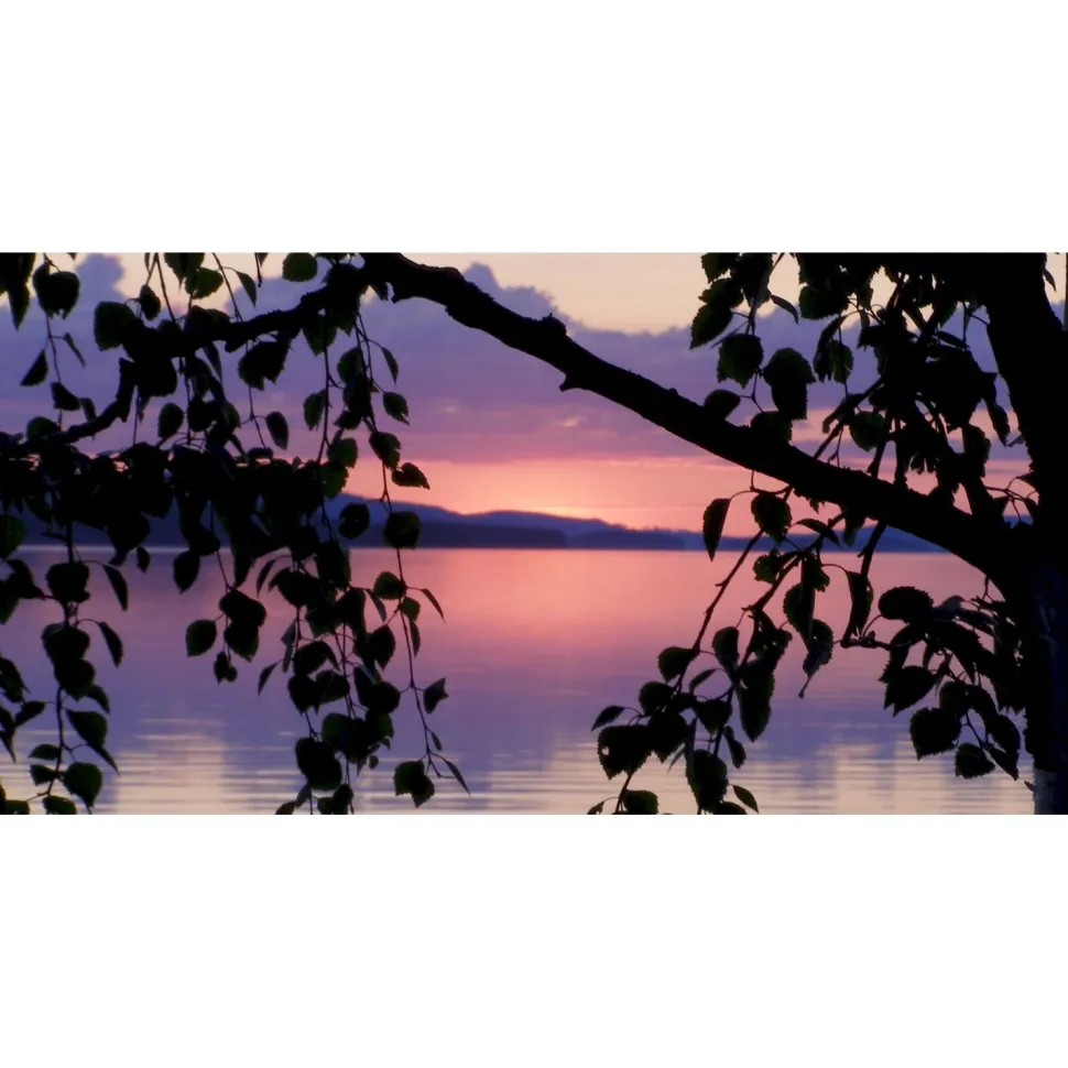Akustiikkataulu Yeseco Quiet 120x60 cm kollaasi 2 kpl 60x60 cm eri kuvia (myös omalla kuvalla)