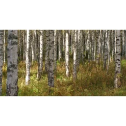 Akustiikkataulu Yeseco Quiet 120x60 cm kollaasi 2 kpl 60x60 cm eri kuvia (myös omalla kuvalla)