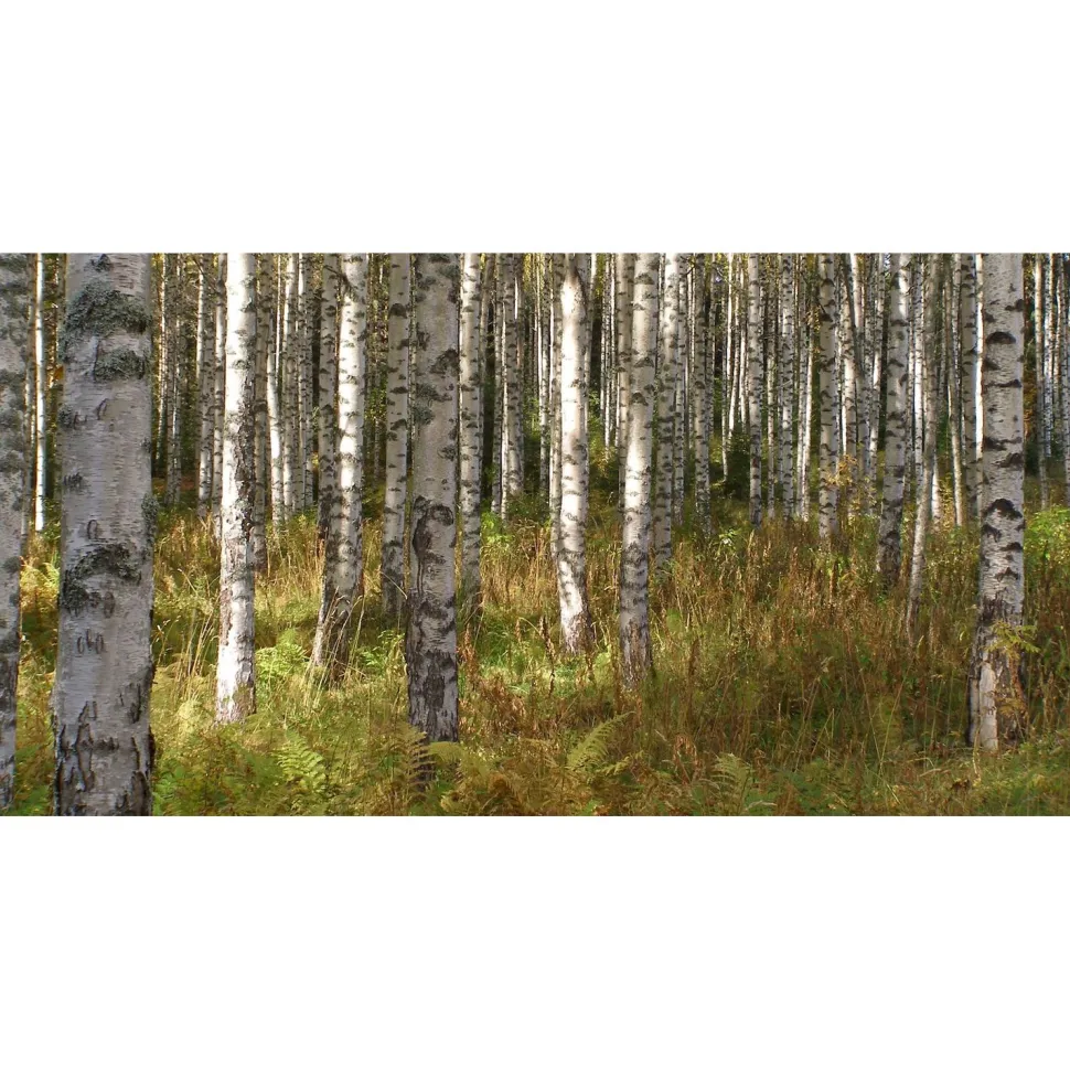 Akustiikkataulu Yeseco Quiet 120x60 cm kollaasi 2 kpl 60x60 cm eri kuvia (myös omalla kuvalla)