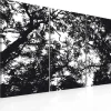 Canvas-taulu Artgeist Tiheä metsä, eri kokoja