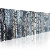 Canvas-taulu Artgeist Valkoiset koivut, eri kokoja