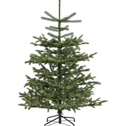 Joulukuusi Nordic Winter, PE Danish Collection, luokka A+, 150 x 118 cm