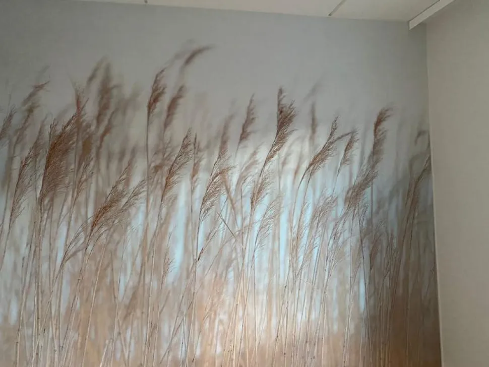 Kuvatapetti Rebel Walls Swaying Reed non-woven mittatilaus