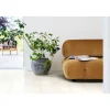 Laminaatti Pergo Living Expression Lillehammer 4V White Painted Oak 2,048 m²/pkt