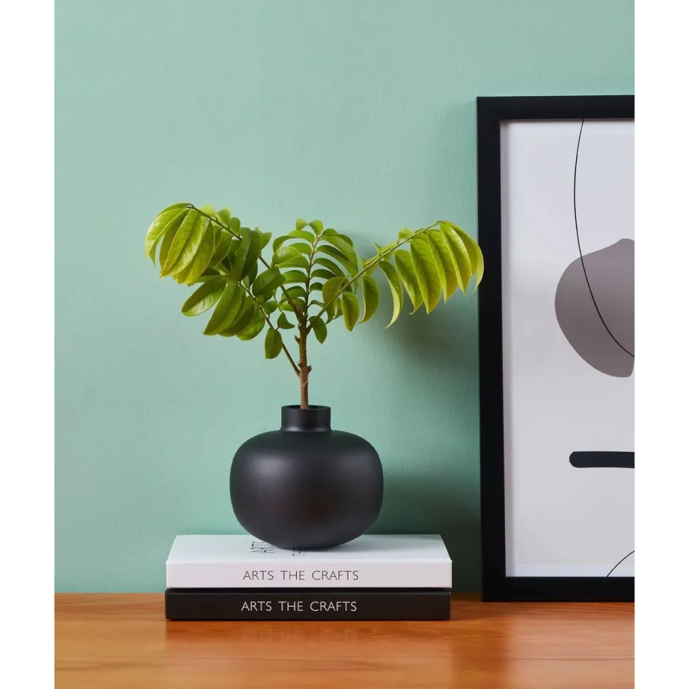 Lasimaljakko Eglo Living Siranana, 12cm
