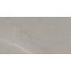 Lattialaatta Pukkila Landstone Grey himmeä sileä 598x298 mm