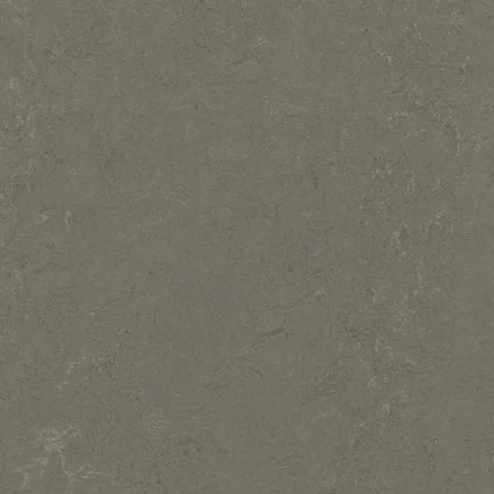 Linoleumilaatta Forbo Marmoleum Click Nebula 30x60 cm keskiruskean harmaa