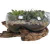 Maljakko puujalustalla House Nordic San Marino Waterdrop, 20cm, tiikki/lasi