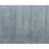 Metsätapetti Sandberg Skog, mittatilaus, sininen
