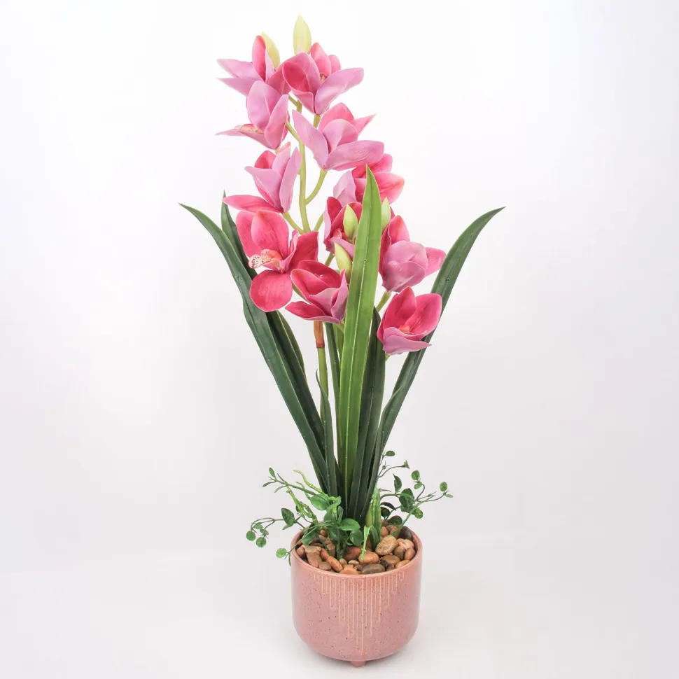 Orkidea Home4You GARDEN QUEEN K70 cm, tumma vaaleanpunainen