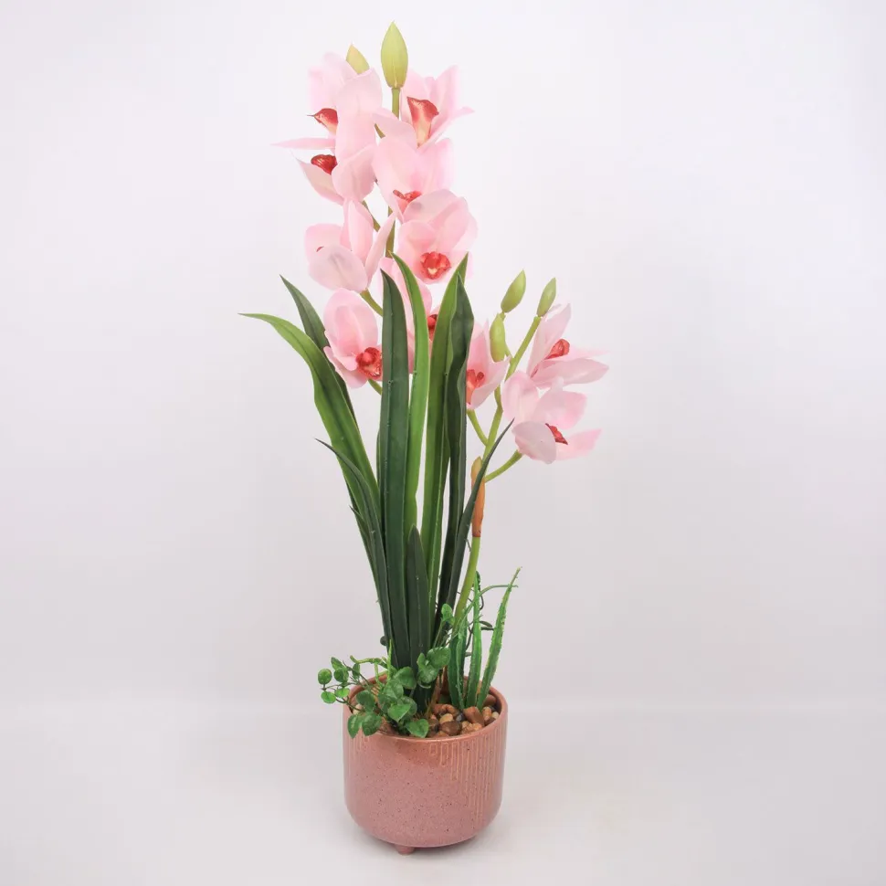 Orkidea Home4You GARDEN QUEEN K70 cm, vaaleanpunainen
