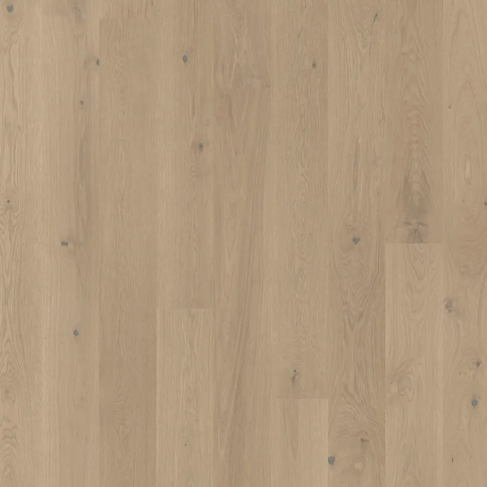 Parketti Tarkett Grace Tammi Beige Cashmere Plank XT 1S, harjattu, ultramattalakattu