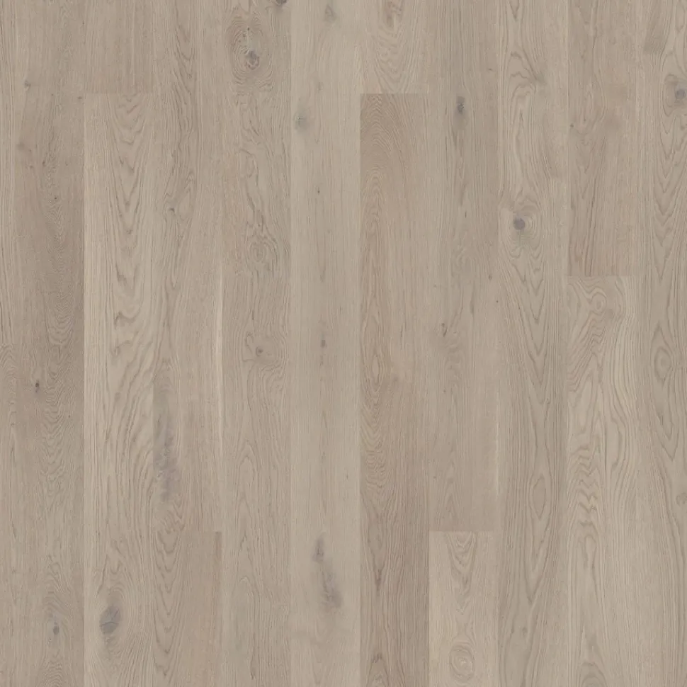 Parketti Tarkett Grace Tammi Grey Chiffon Plank 1S, harjattu, ultramattalakattu