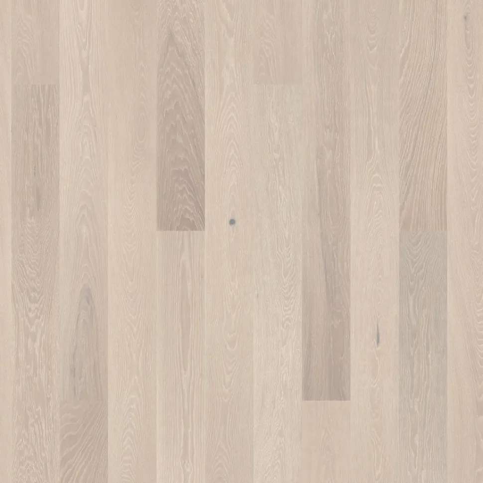 Parketti Tarkett Prestige Tammi Grey Slate 1S, luonnollinen vaalea, öljyvahattu