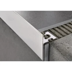 Porraskulmalista Progress Profiles Protermstep ACC 2,7m 20/25mm kiiltävä rst