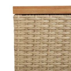 Puutarhan säilytyslaatikko harmaa 110x50x54 cm polyrottinki (65956)
