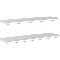 Seinähyllyt 2 kpl 100x30x3 cm hopea ruostumaton teräs (30279)