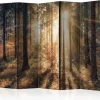 Sermi Artgeist Autumnal Forest 225x172cm