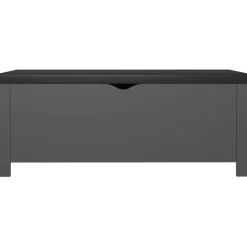 Säilytyslaatikko betoninharmaa 105x40x45 cm tekninen puu (26772)