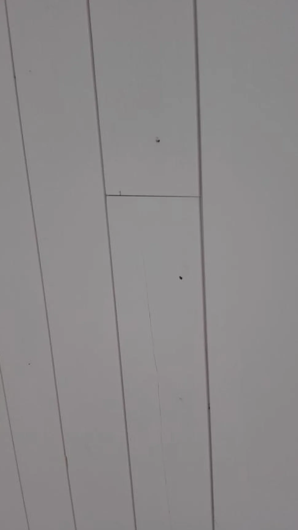 Sisustuspaneeli Aure Riihi STS PN 15x120x2500mm harjattu puhtaan valkoinen