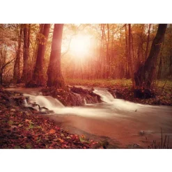Sisustustarra Artgeist Autumn Dreaminess 70x98cm