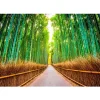 Sisustustarra Artgeist Bamboo Forest 70x98cm