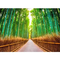 Sisustustarra Artgeist Bamboo Forest 70x98cm