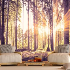 Sisustustarra Artgeist Forest Afternoon 70x98cm