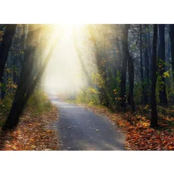 Sisustustarra Artgeist Road through the Forest 70x98cm