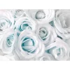 Sisustustarra Artgeist Satin Rose III 70x98cm