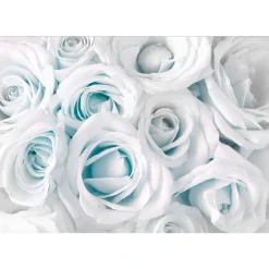 Sisustustarra Artgeist Satin Rose III 70x98cm