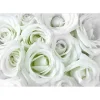 Sisustustarra Artgeist Satin Rose 70x98cm