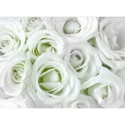 Sisustustarra Artgeist Satin Rose 70x98cm
