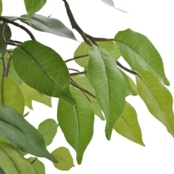 Tekokasvi bonsaifiikus ruukussa 60 cm