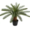 Tekokasvi Home4You CYCAS, K70 cm, musta ruukku, vihreä