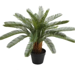 Tekokasvi Home4You CYCAS, K70 cm, musta ruukku, vihreä