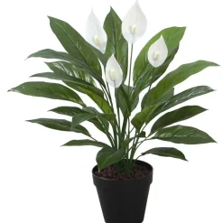 Tekokasvi Home4You SPATHE, K60 cm, musta ruukku, vihreä
