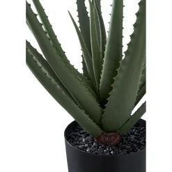 Tekokasvi House Nordic Aloe Vera, 51cm, vihreä