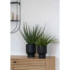 Tekokasvi House Nordic Aloe Vera, 51cm, vihreä