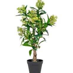 Tekokasvi House Nordic Skimmia, 75cm, vihreä