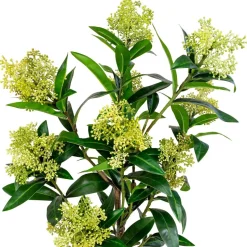 Tekokasvi House Nordic Skimmia, 75cm, vihreä