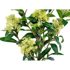 Tekokasvi House Nordic Skimmia, 75cm, vihreä