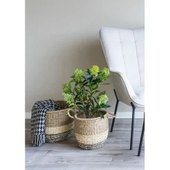 Tekokasvi House Nordic Skimmia, 75cm, vihreä