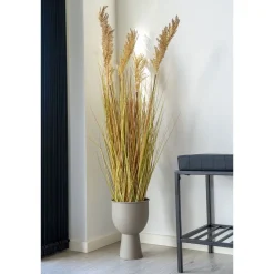 Tekokasvi House Nordic Sudaninruoho Sorghum Grass, 110cm, ruskea