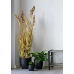 Tekokasvi House Nordic Sudaninruoho Sorghum Grass, 110cm, ruskea