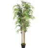 Tekokasvi bambupuu, 500 lehteä, 80 cm
