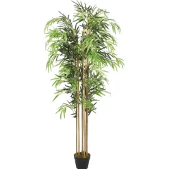 Tekokasvi bambupuu, 500 lehteä, 80 cm